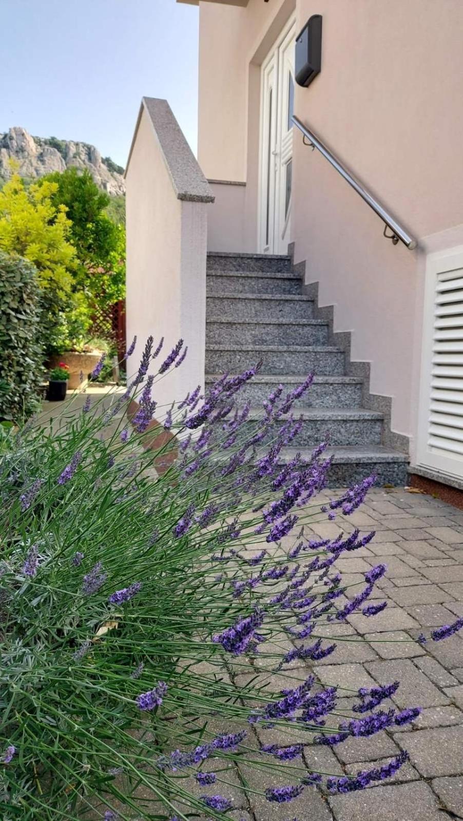 Apartmán Pirun *
